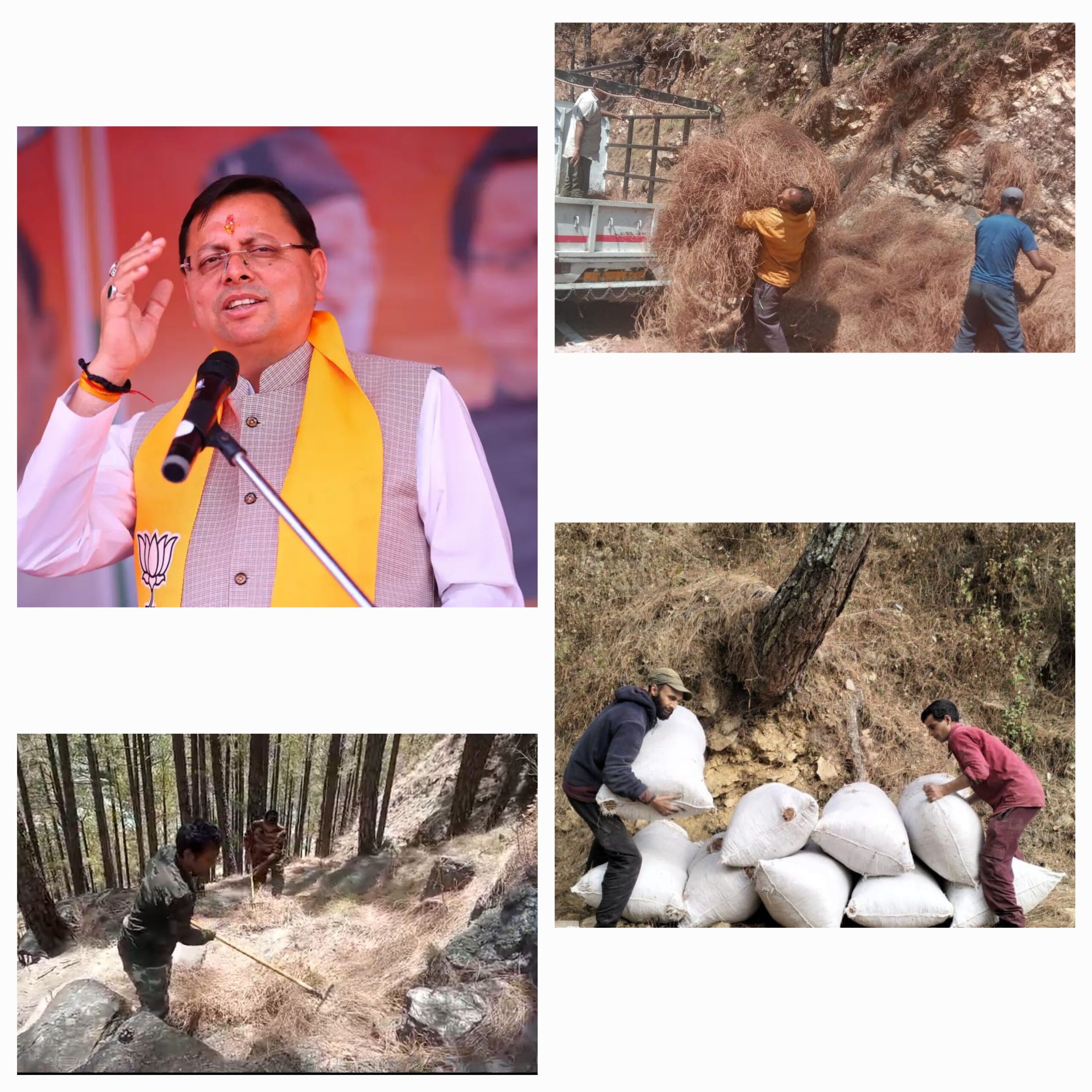 राज्य के जंगलों में भड़की आग पर काबू पाने के लिए मुख्यमंत्री धामी सरकार की “पिरूल लाओ, पैसा पाओ” स्कीम रंग ला रही है