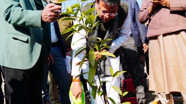 ग्रीन गेम्स की कल्पना को पूरा करने के लिए महाराणा प्रताप स्पोर्ट्स कॉलेज, रायपुर देहरादून से लगे क्षेत्र को खेल वन के रूप में विकसित किया जा रहा है।