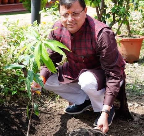 हरेला पर्व को सुख, समृद्धि एवं सौहार्द का प्रतीक बताते हुये मुख्यमंत्री ने कहा कि यह पर्व हमें अपनी परम्पराओं से जुड़े रहने का भी संदेश देता है
